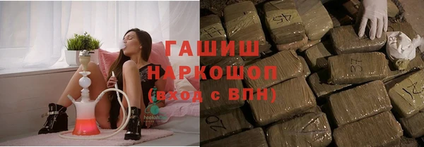 сатива Армянск