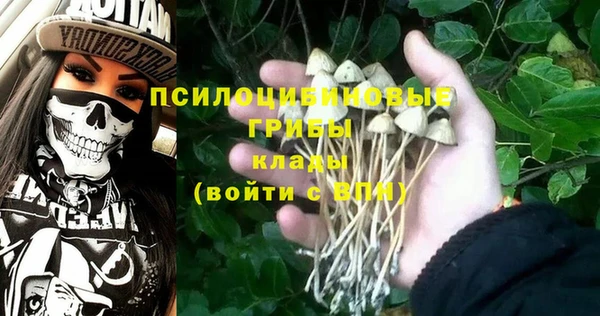 спиды Алзамай